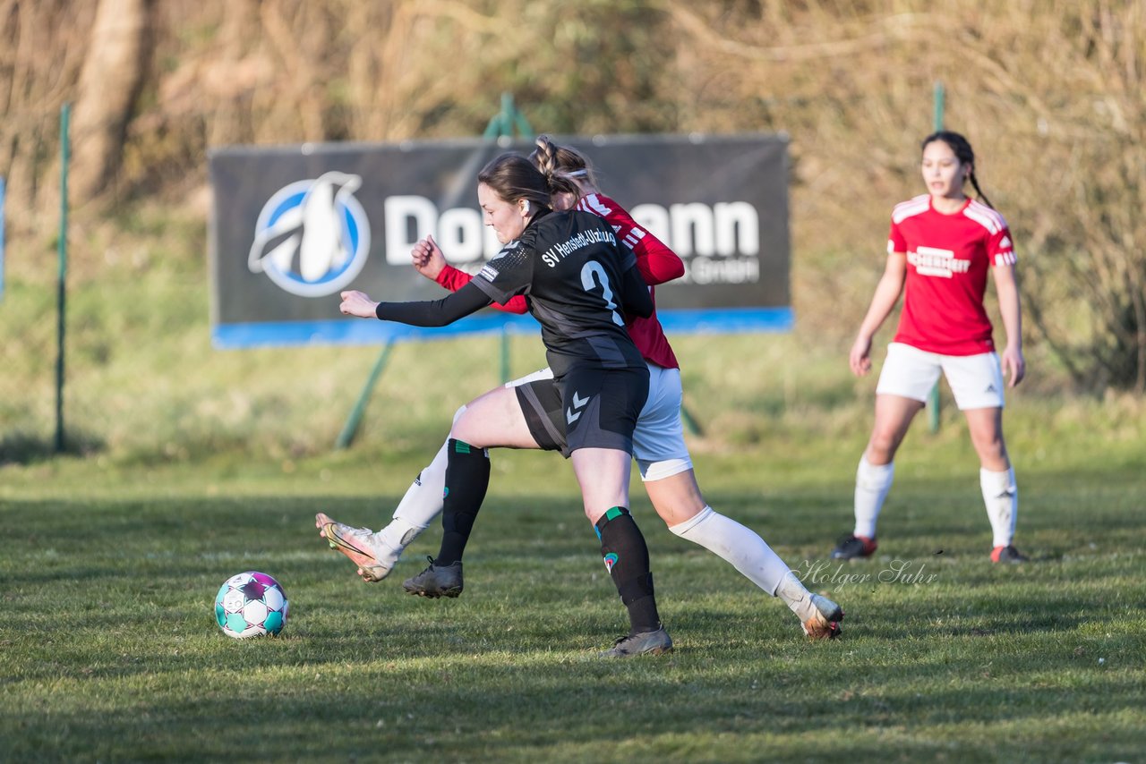 Bild 274 - F Rot Schwarz Kiel - SV Henstedt Ulzburg 2 : Ergebnis: 1:1